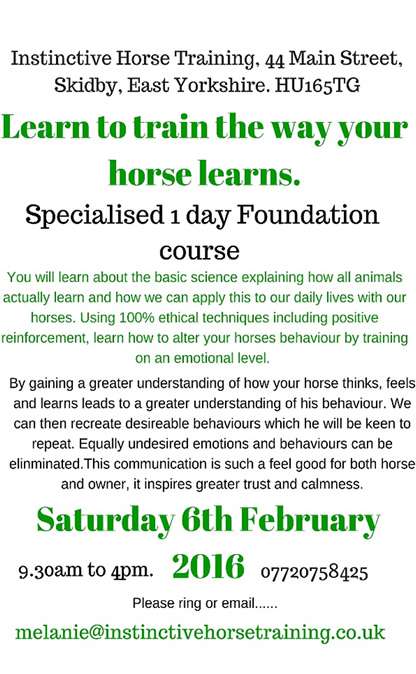 UK Wide Training Courses - Instinctive Horse Training 2