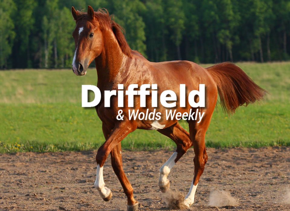 Driffield Wolds Weekly March Article Featured Image