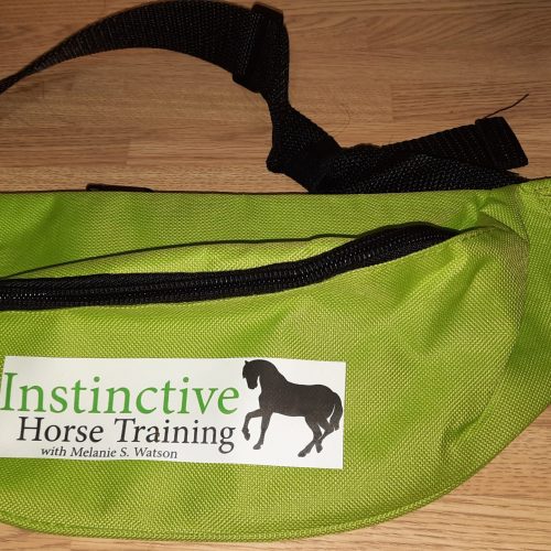 Large training bag/pouch
